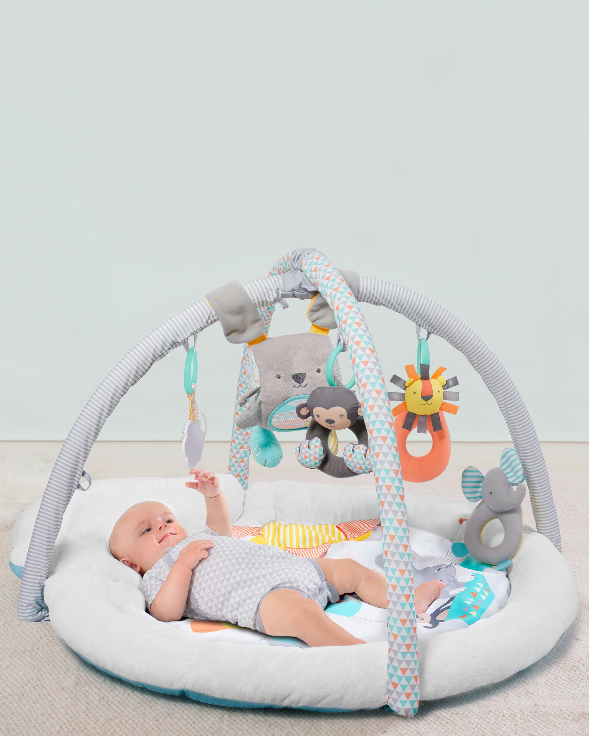 skip hop activity gym