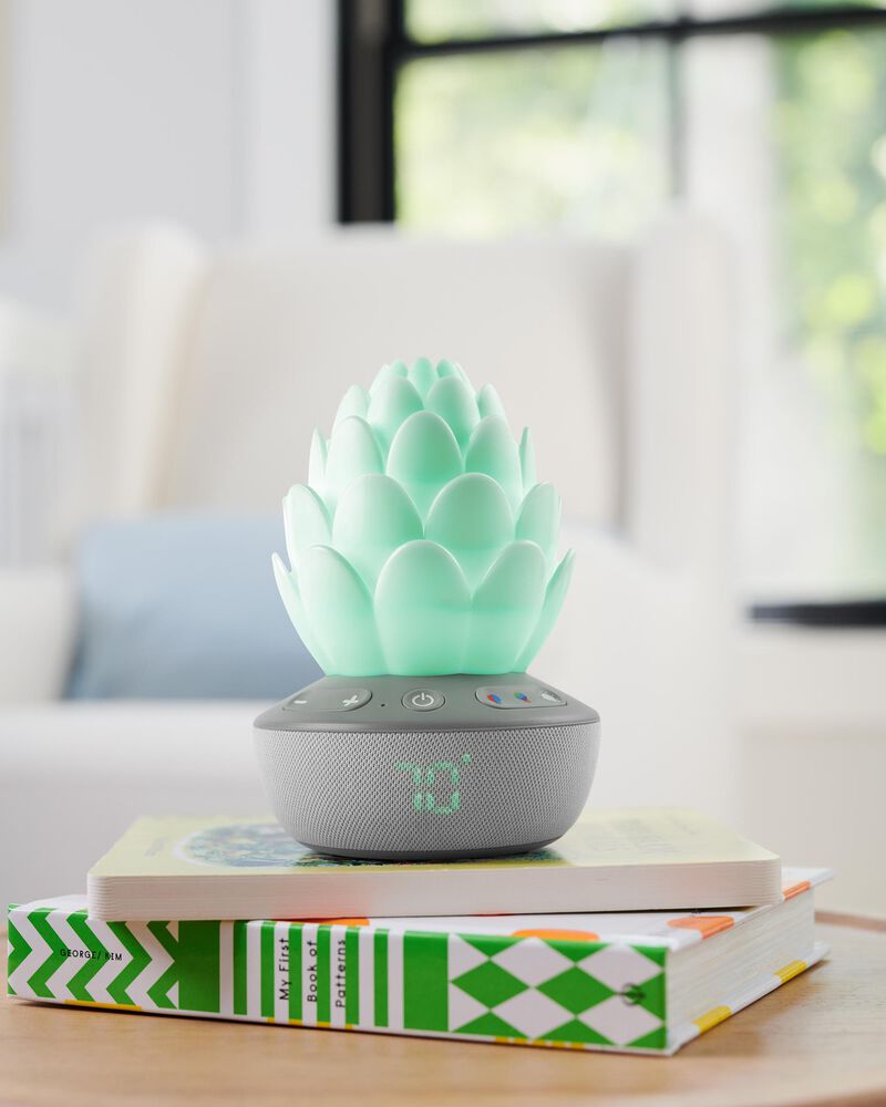 Succulent Glow Sound Machine, image 9 of 10 slides