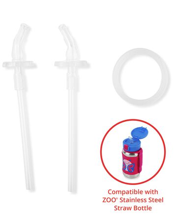 Stainless Steel Straw Bottle Extra Straws - 2-Pack, 