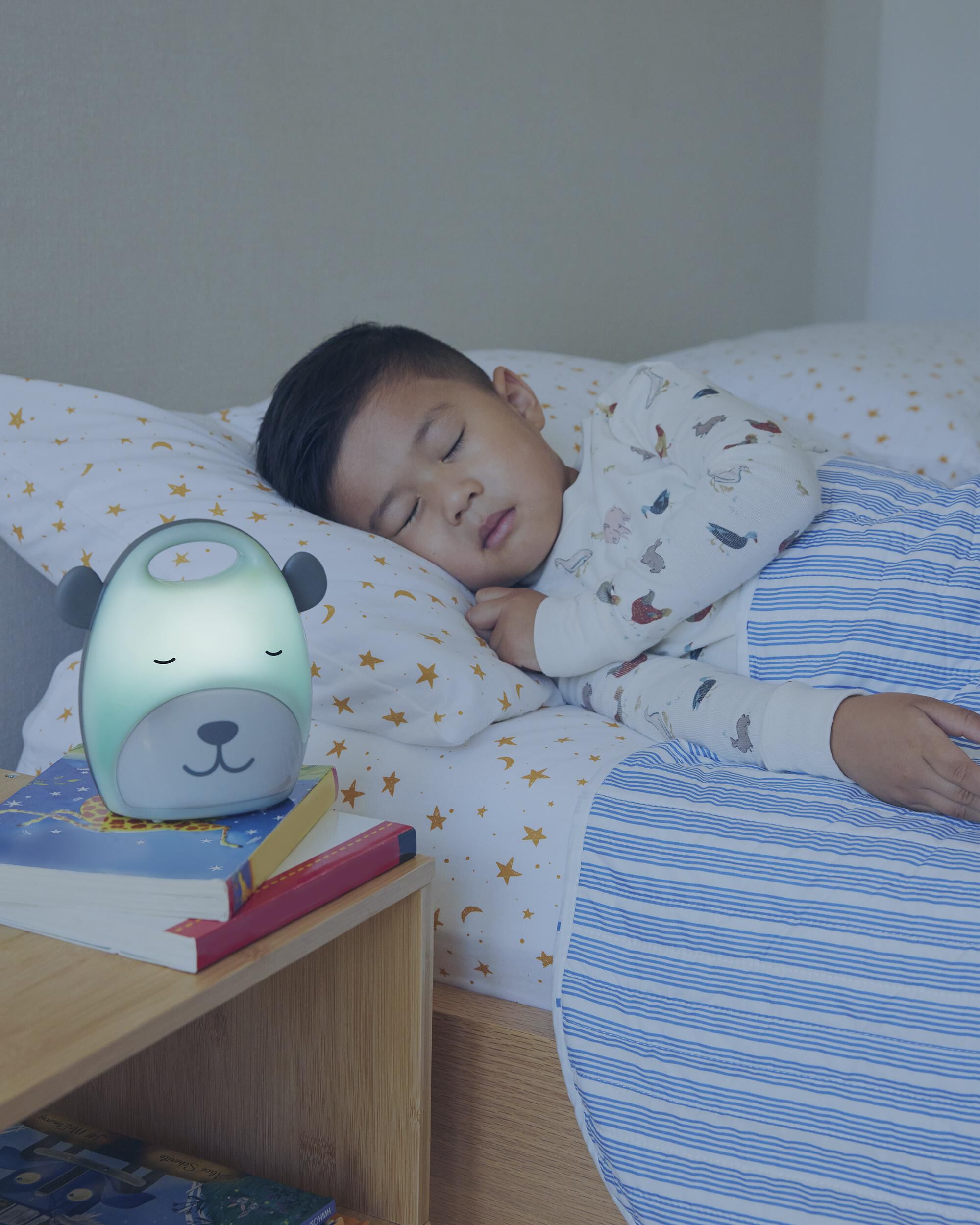 Beary Cute Take-Along Nightlight, image 5 of 12 slides