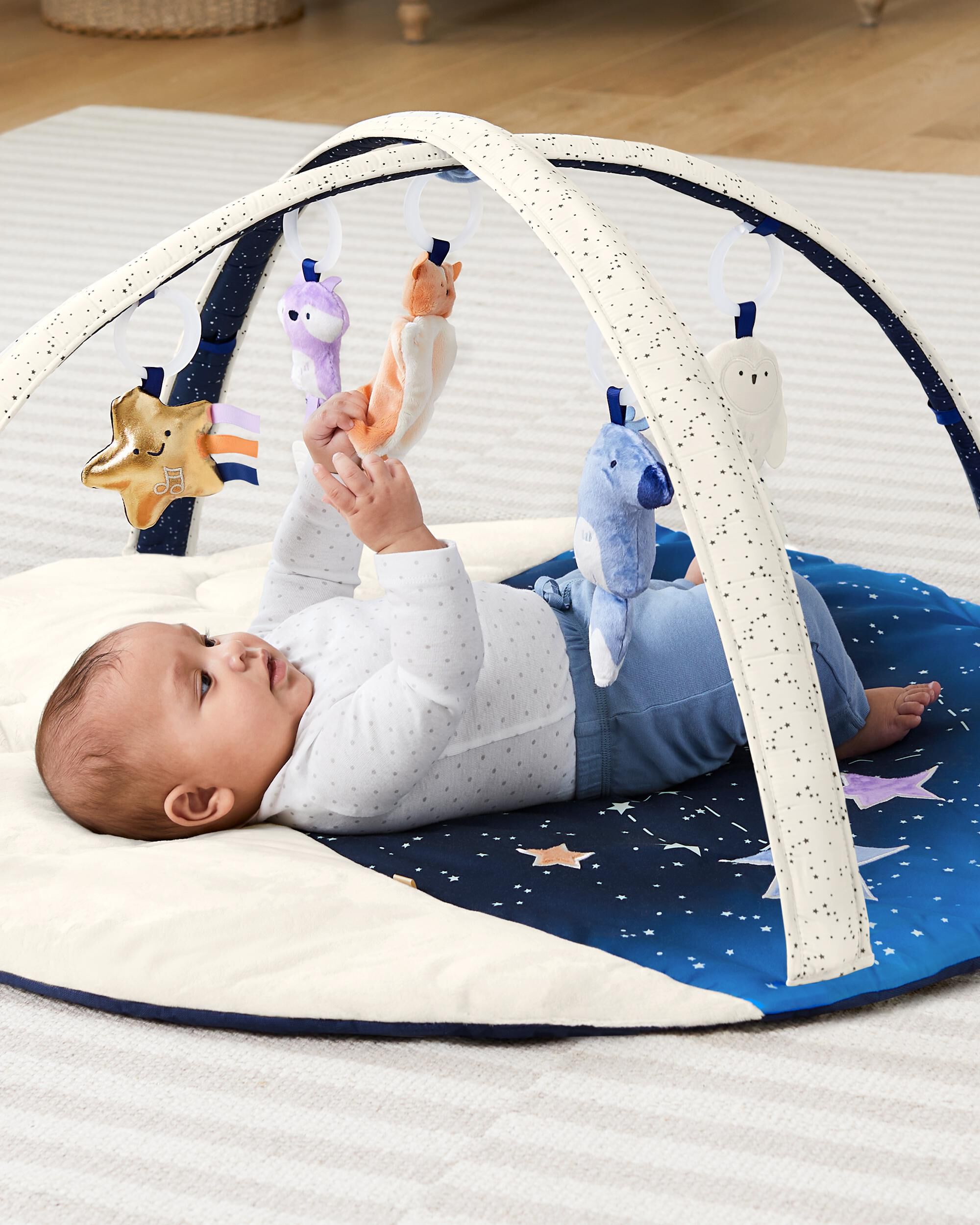 Celestial Dreams Activity Gym, image 10 of 17 slides