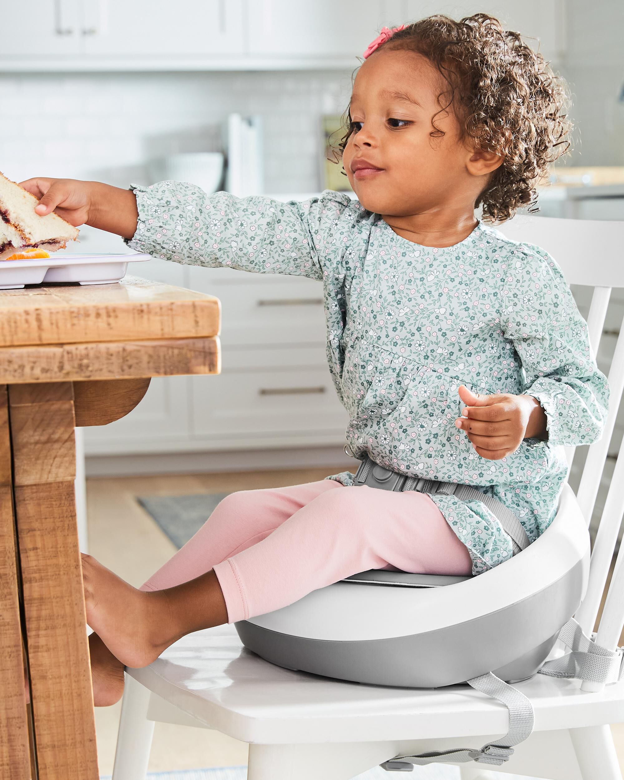 Skip hop zoo booster seat on sale