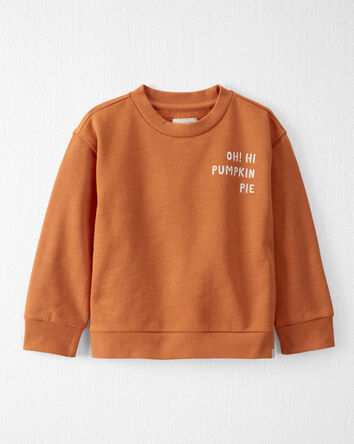 Toddler Organic Cotton  Oh Hi Pumpkin Pie Pullover , 