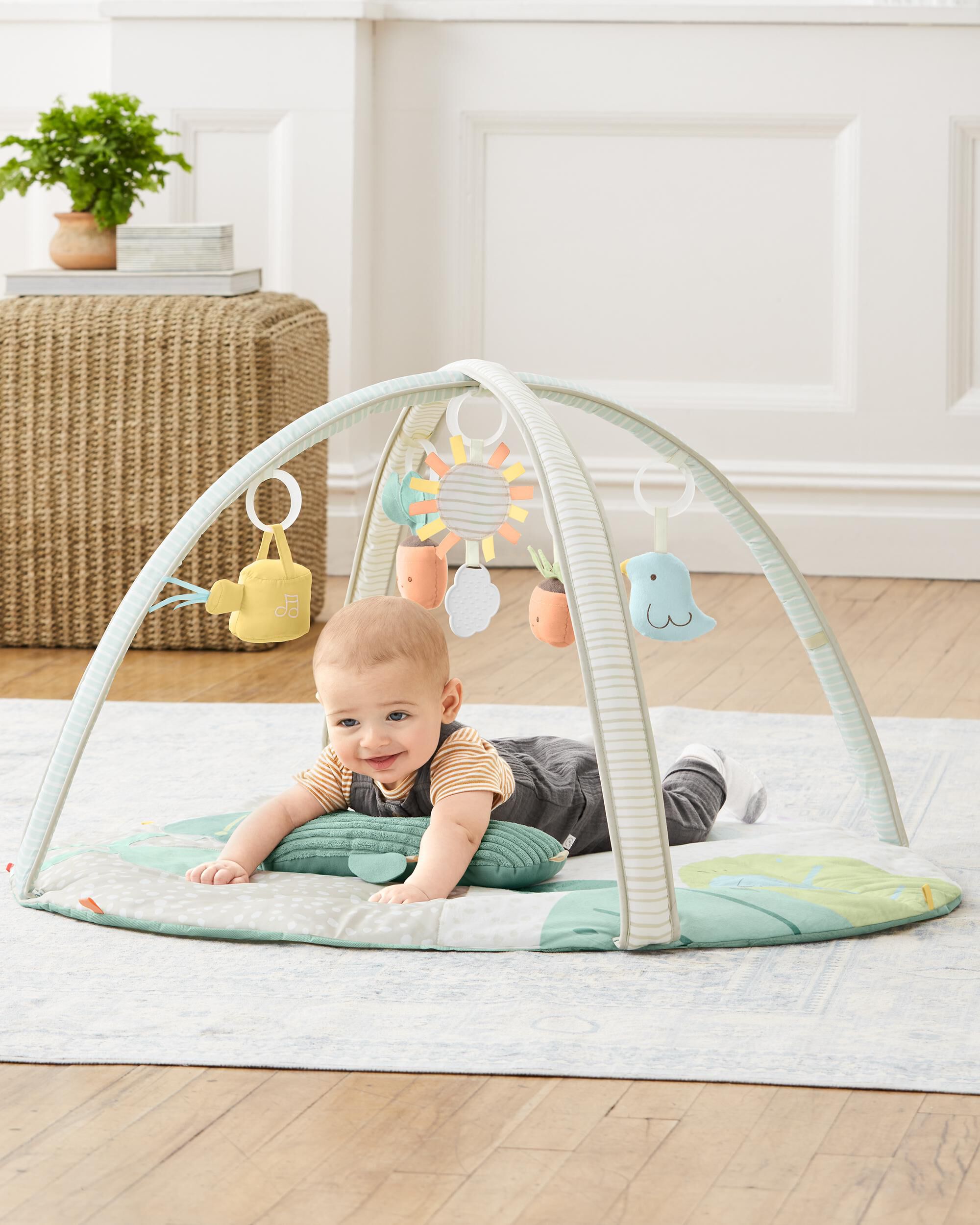 Baby planet oasis bassinet hot sale