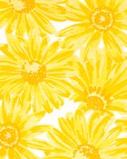 Toddler Floral Jersey Dress, image 3 of 4 slides