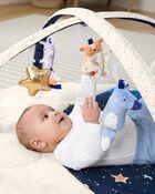 Celestial Dreams Activity Gym, image 7 of 17 slides