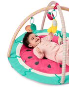 Baby Carter's® Fruity Fun Play Gym, image 6 of 8 slides