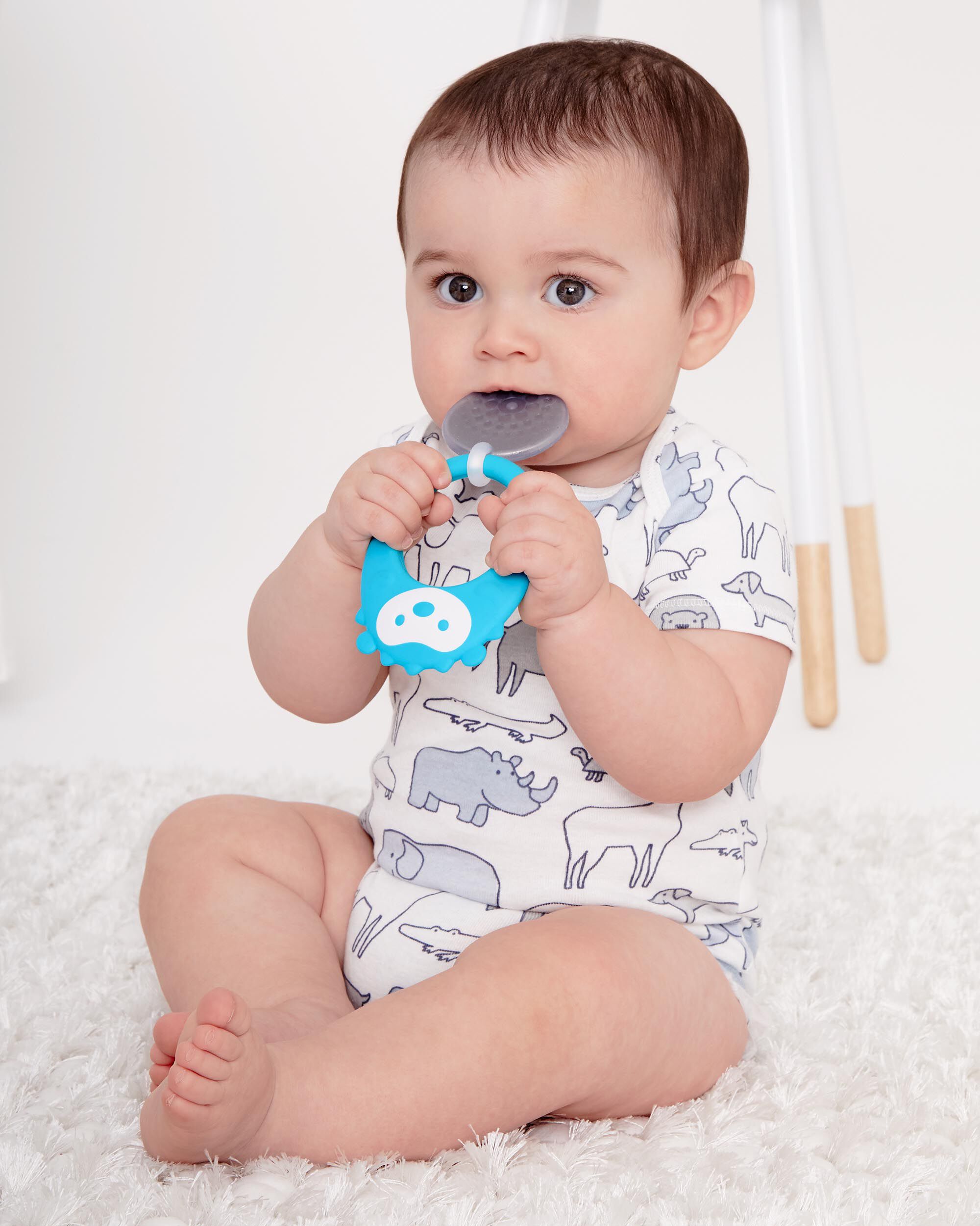 skip hop teether