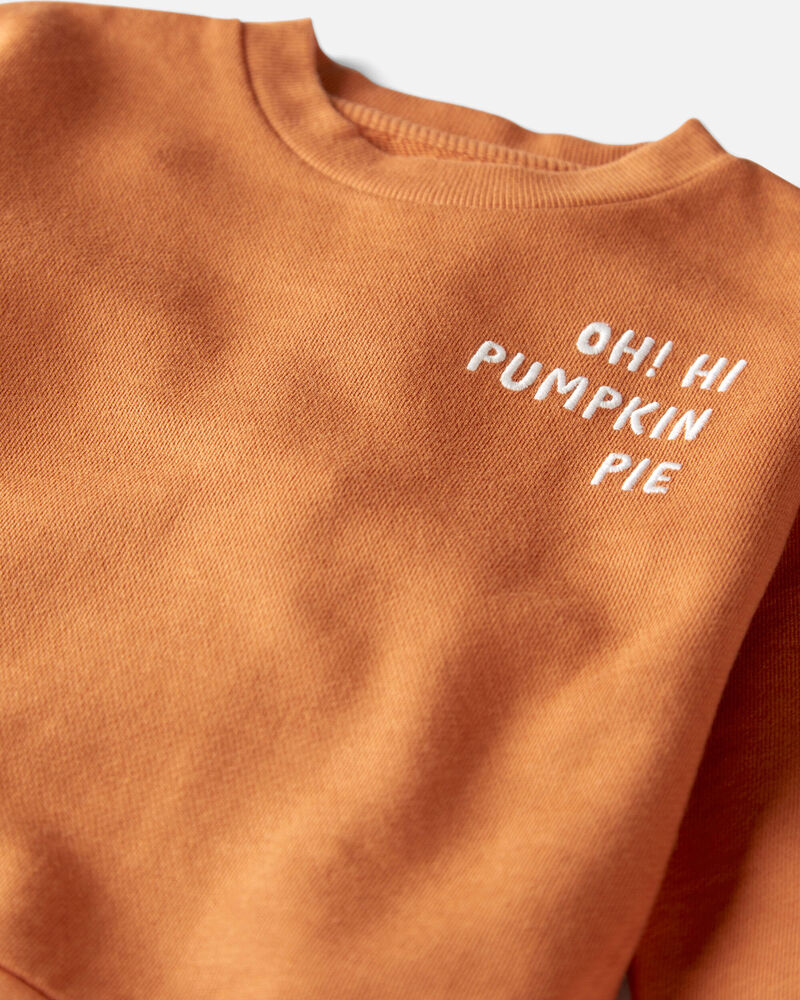 Toddler Organic Cotton  Oh Hi Pumpkin Pie Pullover , image 2 of 5 slides