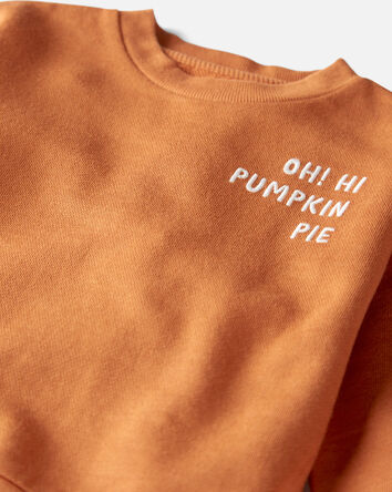Toddler Organic Cotton  Oh Hi Pumpkin Pie Pullover , 