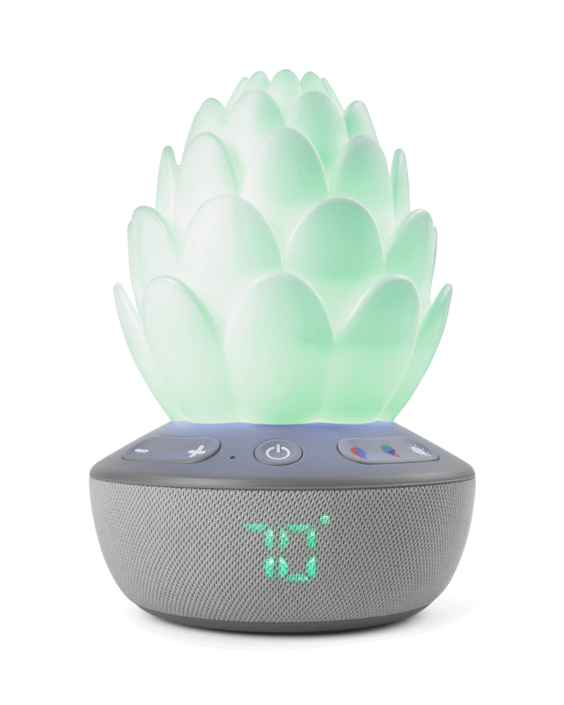 Succulent Glow Sound Machine, image 10 of 10 slides