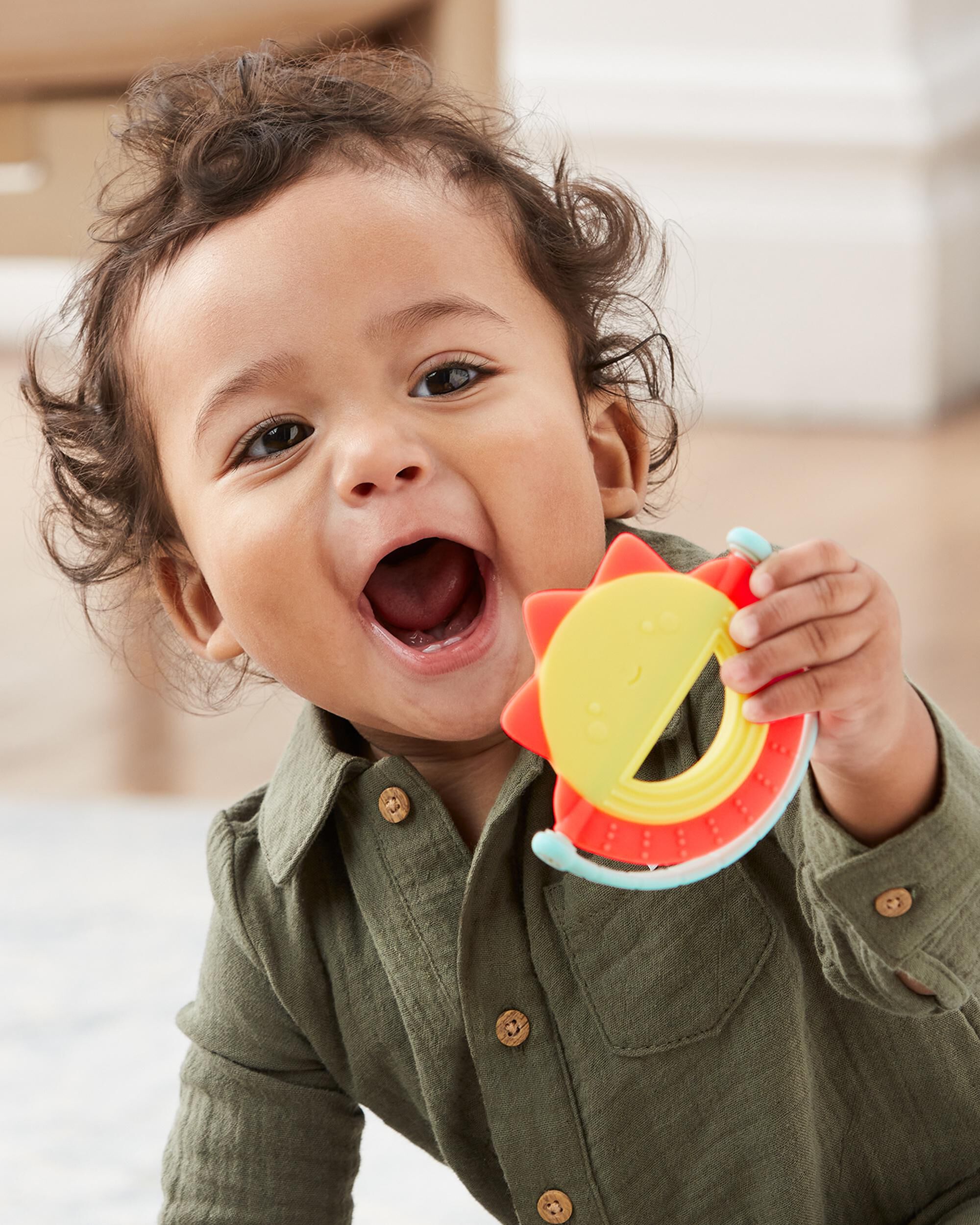 Skip hop teething online toys
