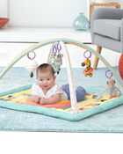 Baby ABC & ME Activity gym, image 6 of 11 slides