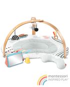 Baby Discoverosity Montessori-Inspired Play Gym, image 2 of 10 slides