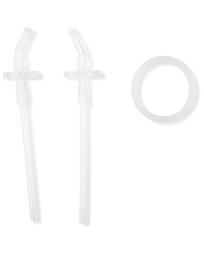 Clear ZOO® Stainless Steel Straw Bottle Extra Straws - 2-Pack