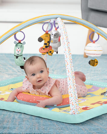 Baby Activities Skip Hop Free Shipping