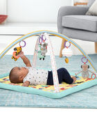 Baby ABC & ME Activity gym, image 7 of 11 slides
