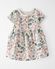 Butterfly Print