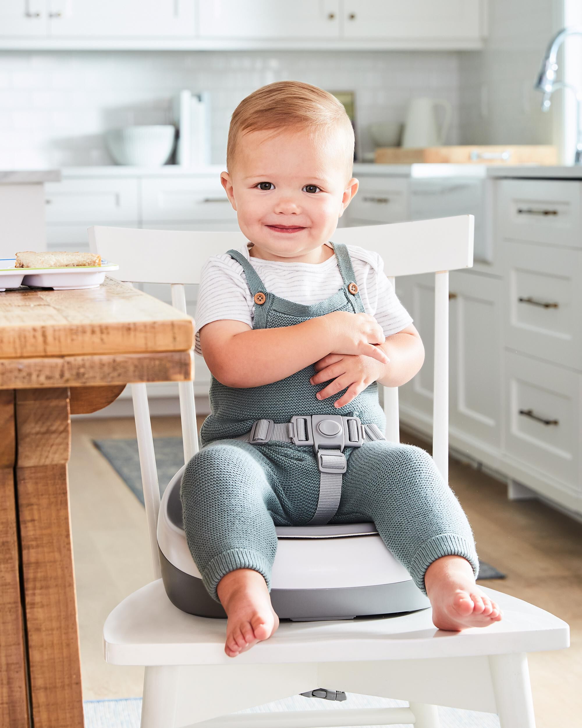 Skip hop zoo booster seat cheap