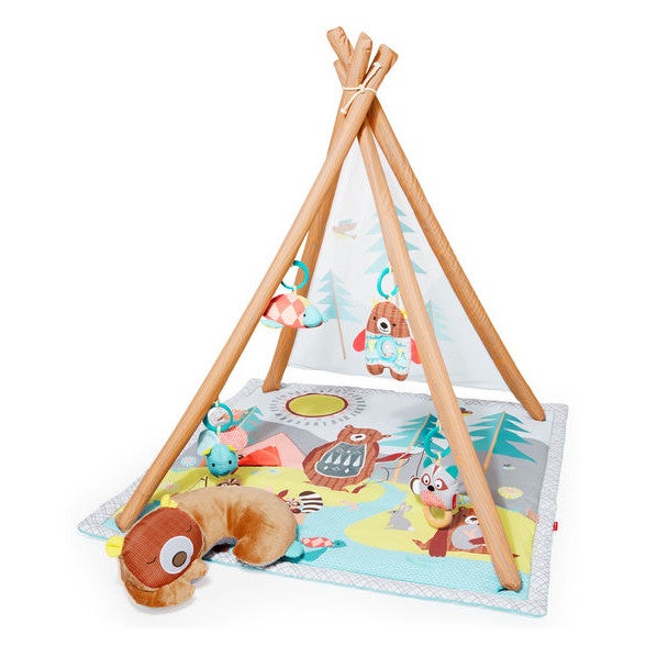 Camping Cubs Activity Gym