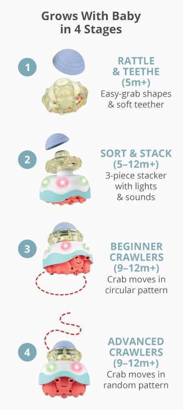 Grows with baby in 4 stages